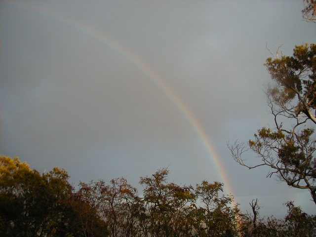 rainbow01.jpg