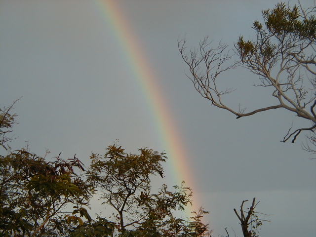 rainbow03.jpg