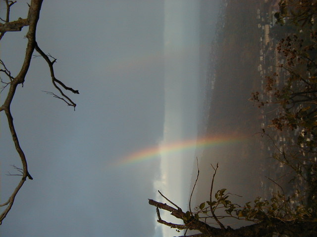 rainbow08.jpg